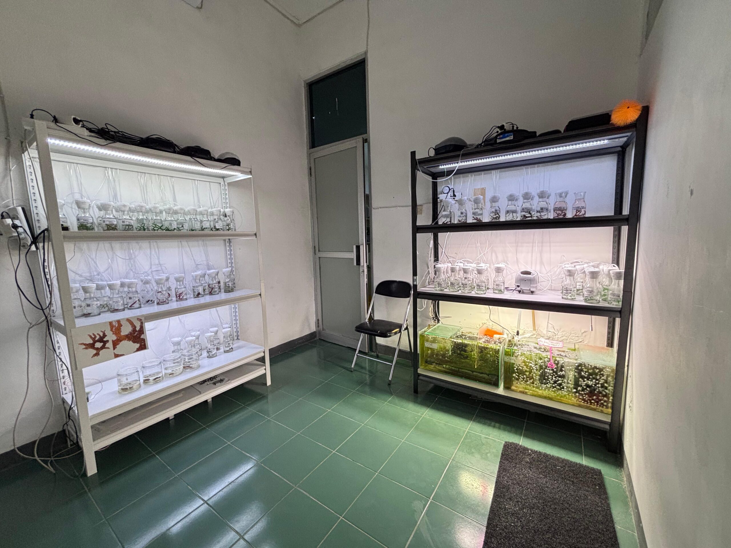 Seaweed Biobank Room