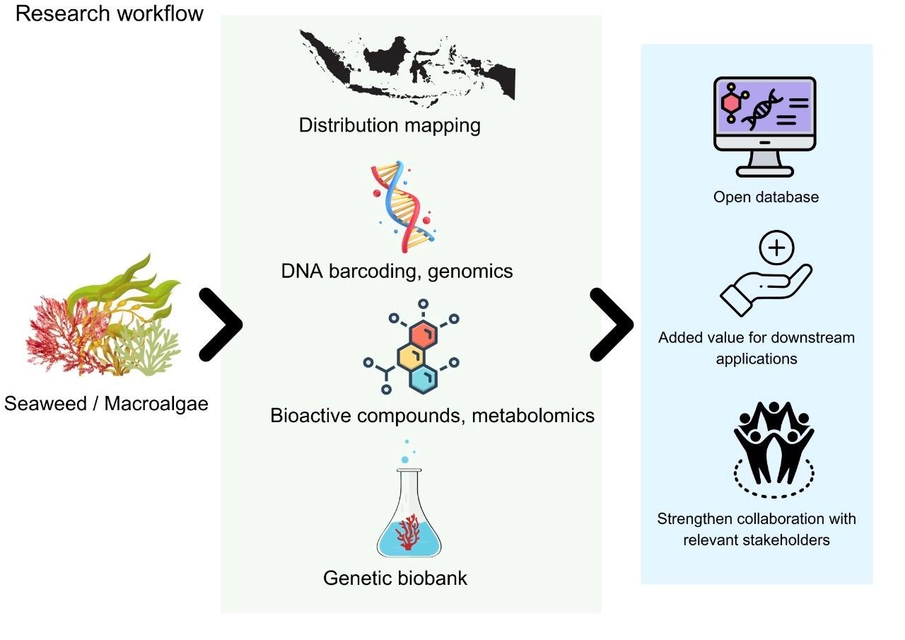 WhatsApp Image 2025-07-03 at 21.03.38_b90e16cd