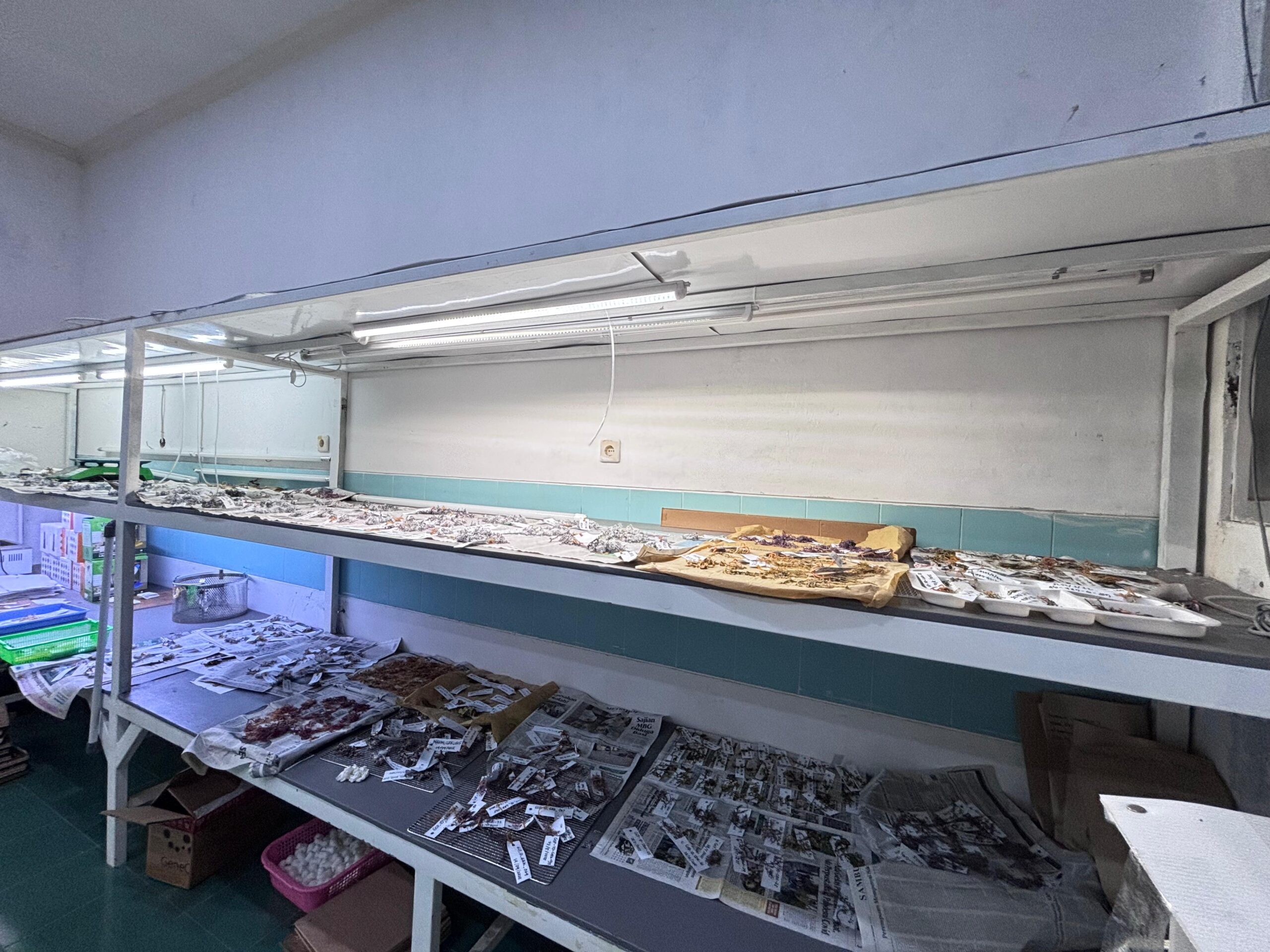 Seaweed Sample Preparation Room