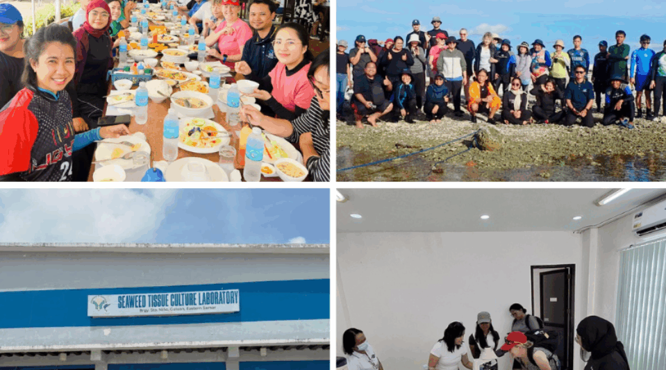 Neutral Photo Collage Grid Home Decor Instagram Post